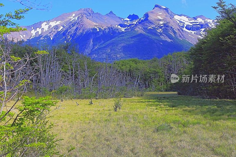 巴塔哥尼亚的El Calafate Moreno冰川附近的雪山和草地